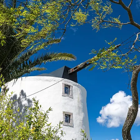 Chalet New! Windmill In The Midst Of Nature *