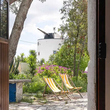 New! Windmill In The Midst Of Nature Chalet Mafra