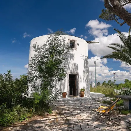 New! Windmill In The Midst Of Nature