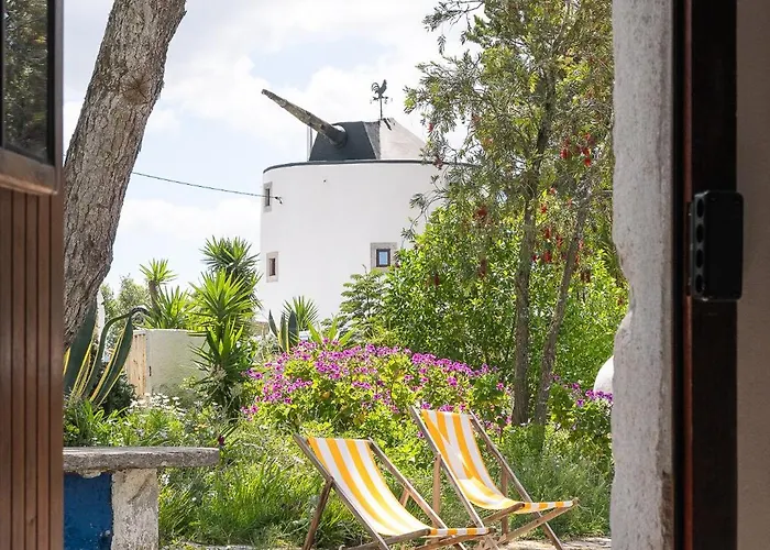New! Windmill In The Midst Of Nature Alpehytte Mafra